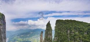 解答无厘头问题,尽在岚图有几款车?